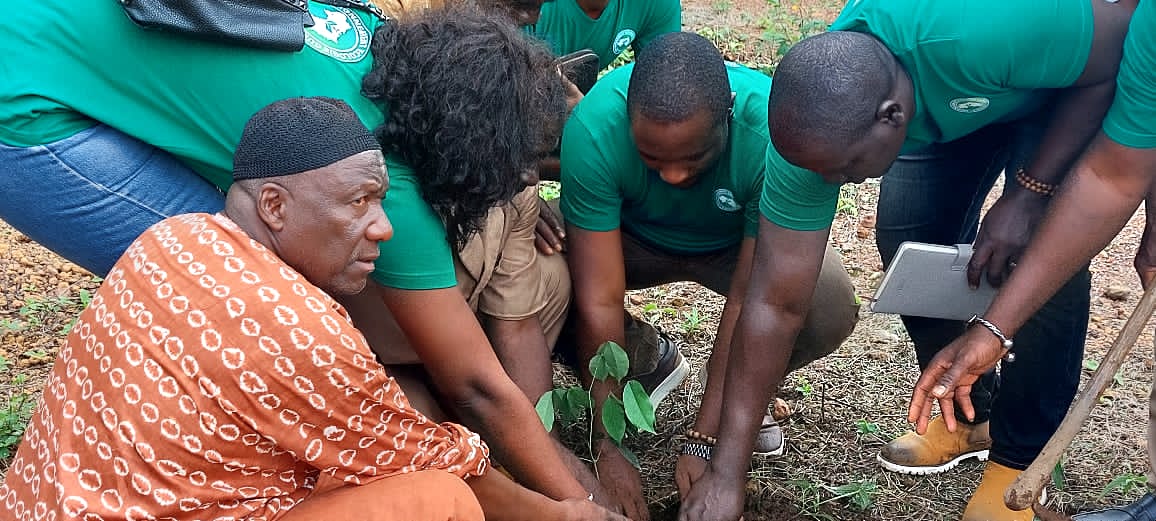 Environnement Ecologie De Guinee environnement-ecologie-de-guinee